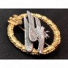 Paratroopers Badge