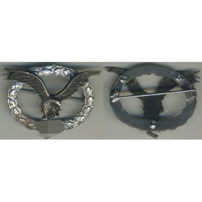 Pilot Badge ( Silver Oval)