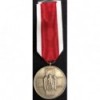 Medal for Social Welfare