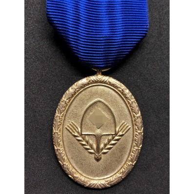 Long Service RAD Medal 1st Class - 25 Years (Gold)