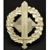 SA Sport Badge (Gold)