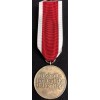 Medal for Social Welfare